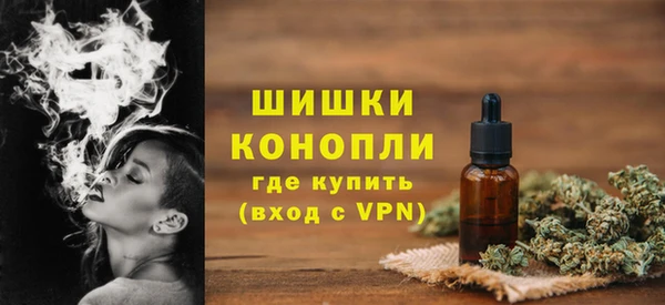 дмт Магас