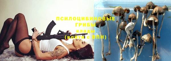 дмт Магас