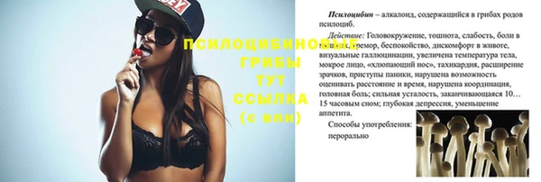 хмурый Магадан