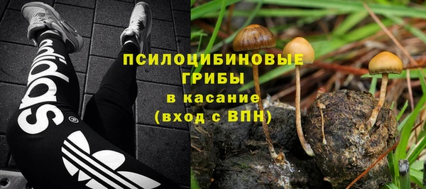 хмурый Магадан