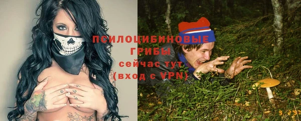 дмт Магас