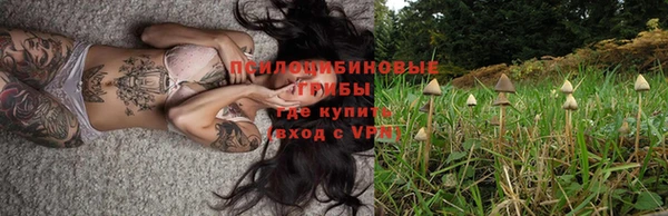 Альфа ПВП Майский