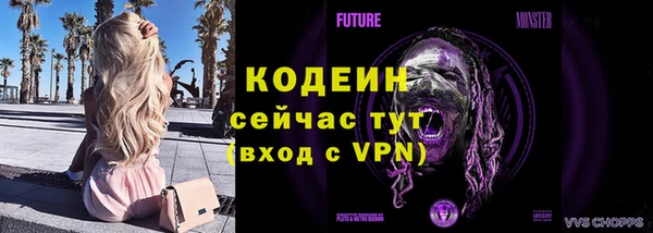 дмт Магас