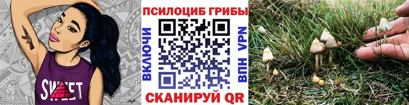 Псилоцибиновые грибы ЛСД  Светлоград 