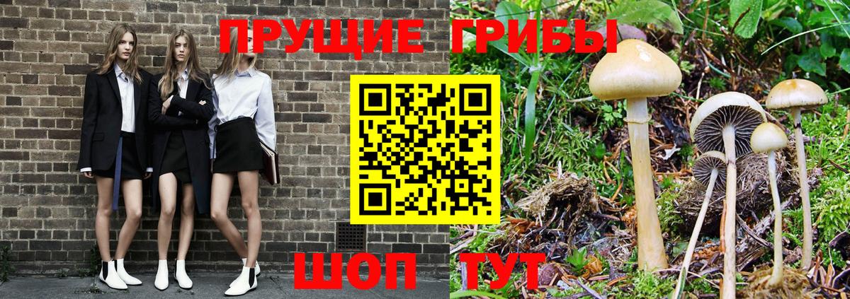 хочу наркоту  Вход с VPN  Светлоград  Галлюциногенные грибы мухоморы  Псилоцибиновые грибы GOLDEN TEACHER 